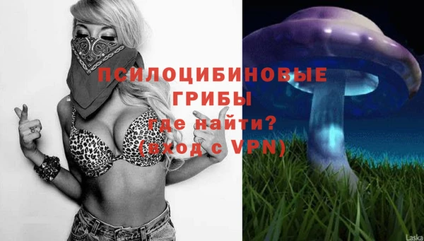 mdpv Гусь-Хрустальный