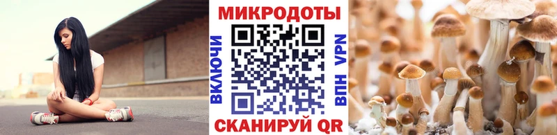 мориарти клад  Вяземский  Галлюциногенные грибы Psilocybe  гидра как зайти 